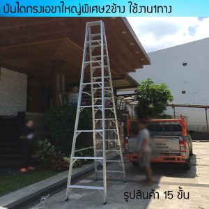 Ladder 13 step