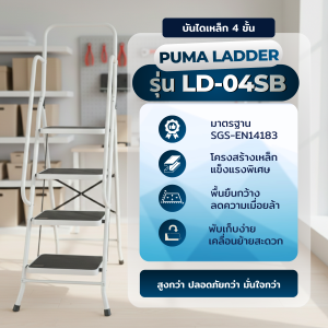 บันไดเหล็กพื้นยืนมีราวจับและราวกันตก4ขั้น LD-04SB