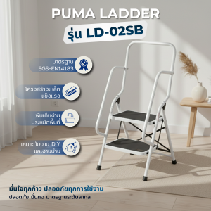 บันไดเหล็กพื้นยืนมีราวจับและราวกันตก2ขั้น LD-02SB